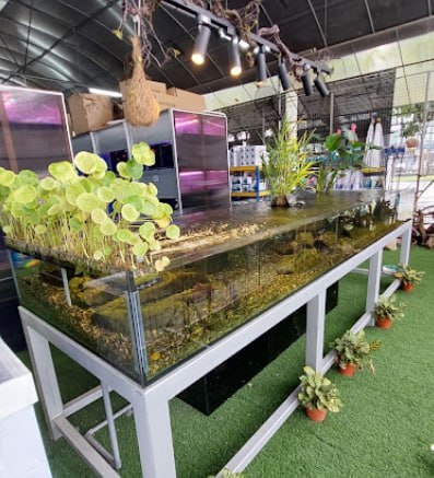 🐬新山桂水族设计私人有限公司🐬 店名:🐬新山KATSURA AQUARIUM DESIGN SDN. BHD🐬 · Menu images