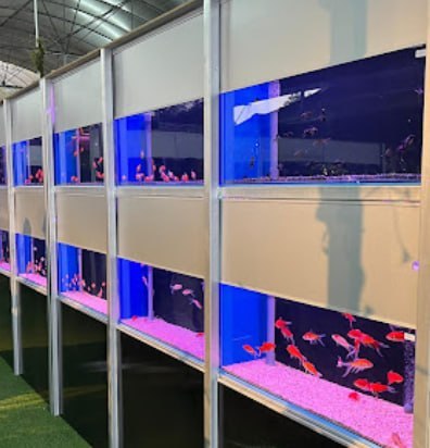 🐬新山桂水族设计私人有限公司🐬 店名:🐬新山KATSURA AQUARIUM DESIGN SDN. BHD🐬 · Menu images