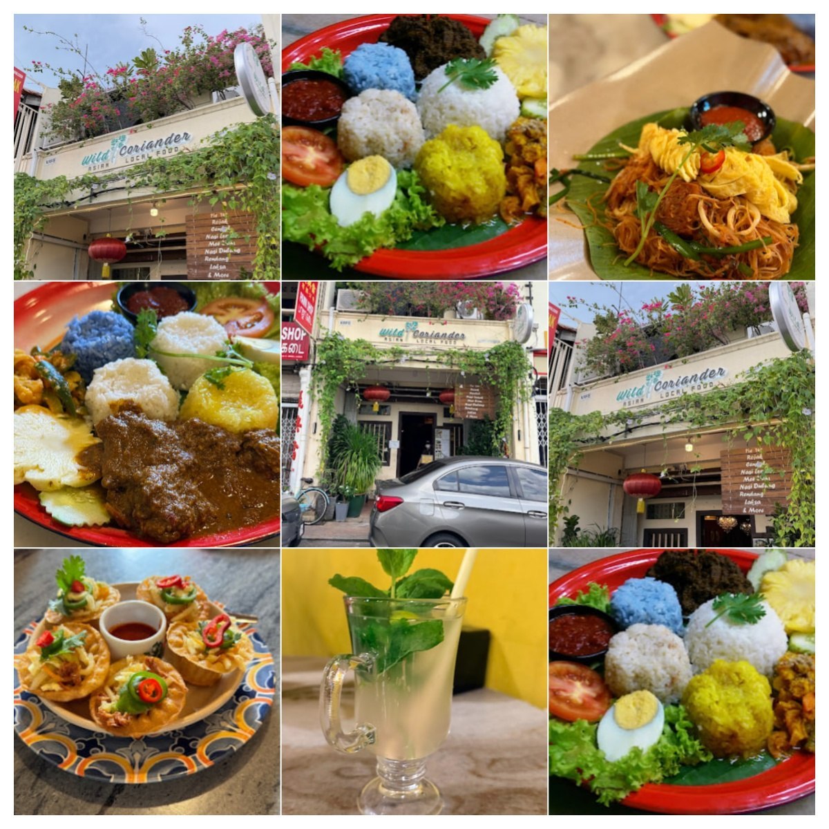 马六甲 Wild Coriander Melaka