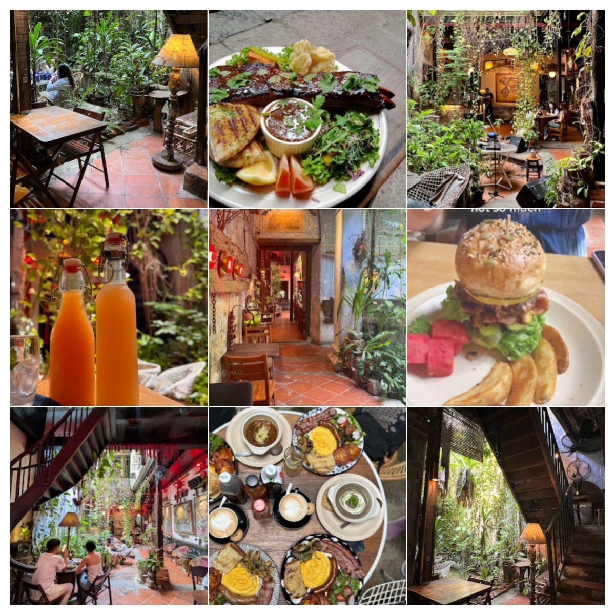 🍗 马六甲 The Baboon House 🍗