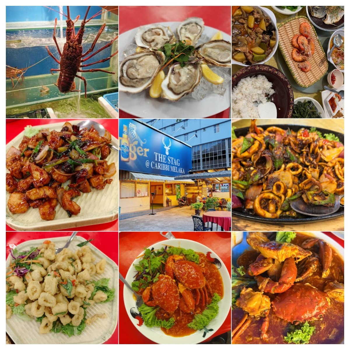 🦑马六甲Caribbi Seafood Village🦑