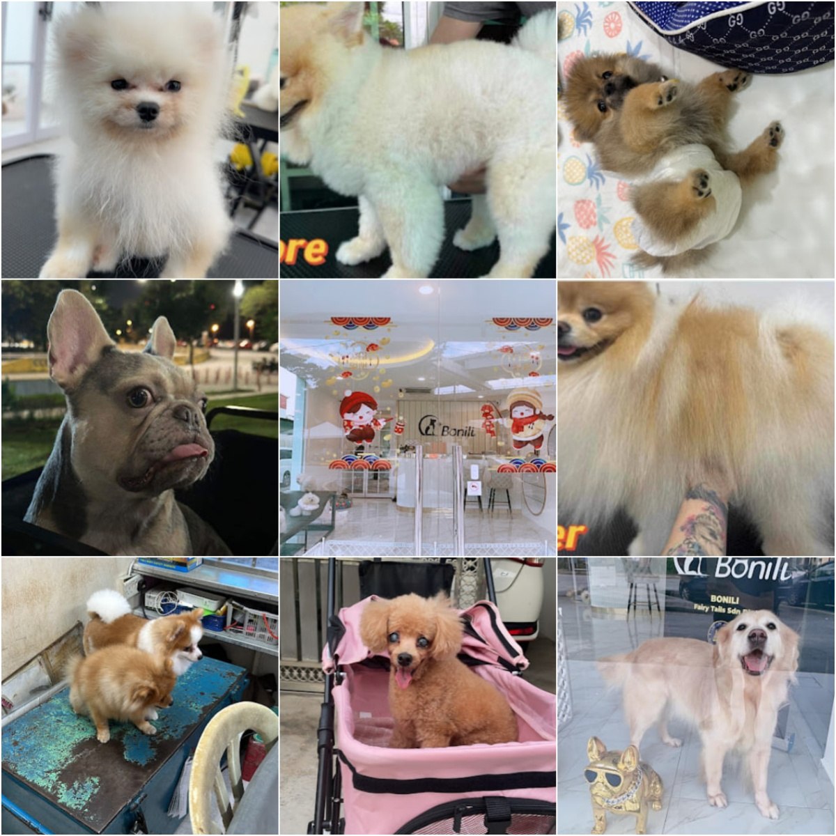 🐕🦺吉隆坡Bonili🐕🦺 · Menu images