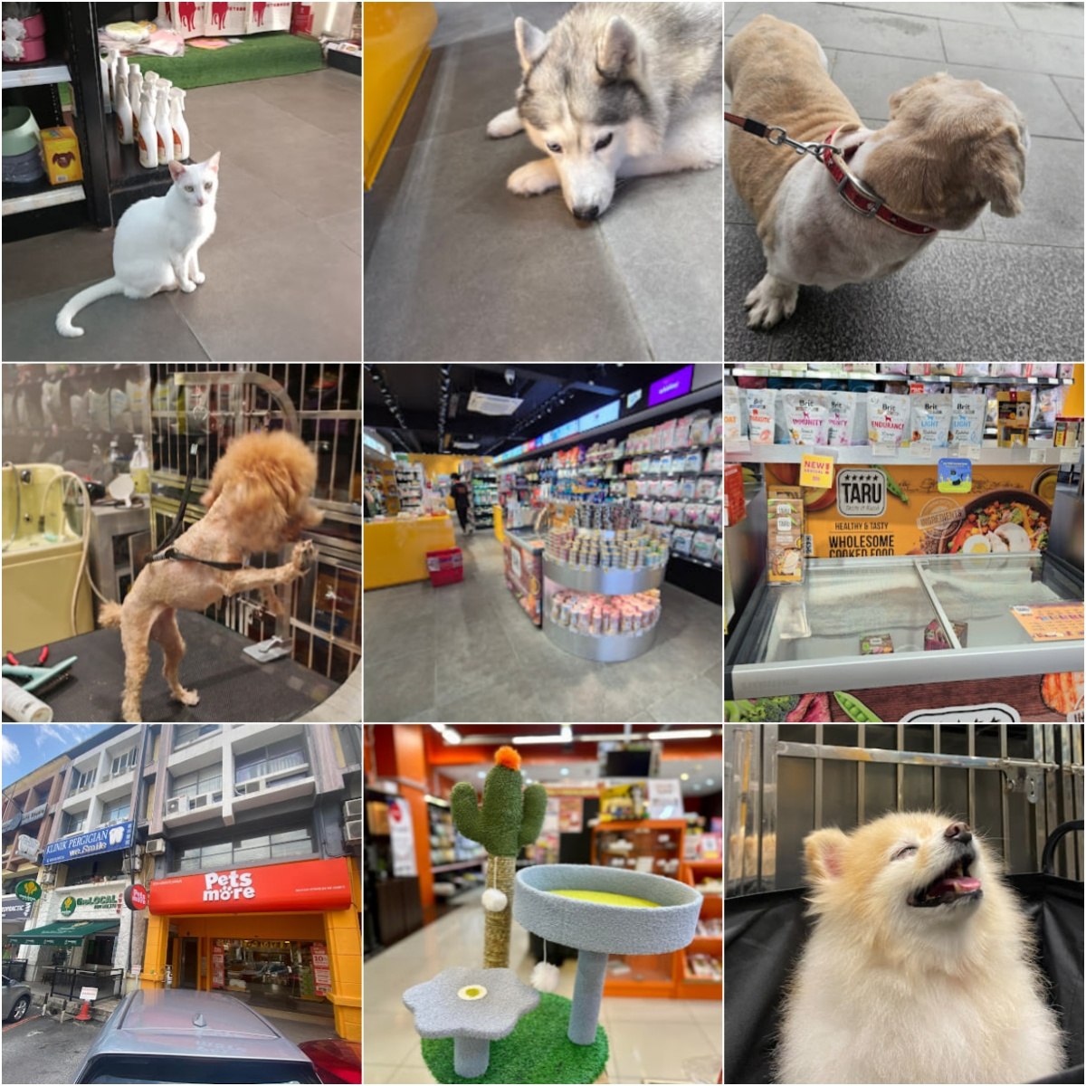 🐾吉隆坡Petsmore Taman Danau Desa🐾 · Menu images