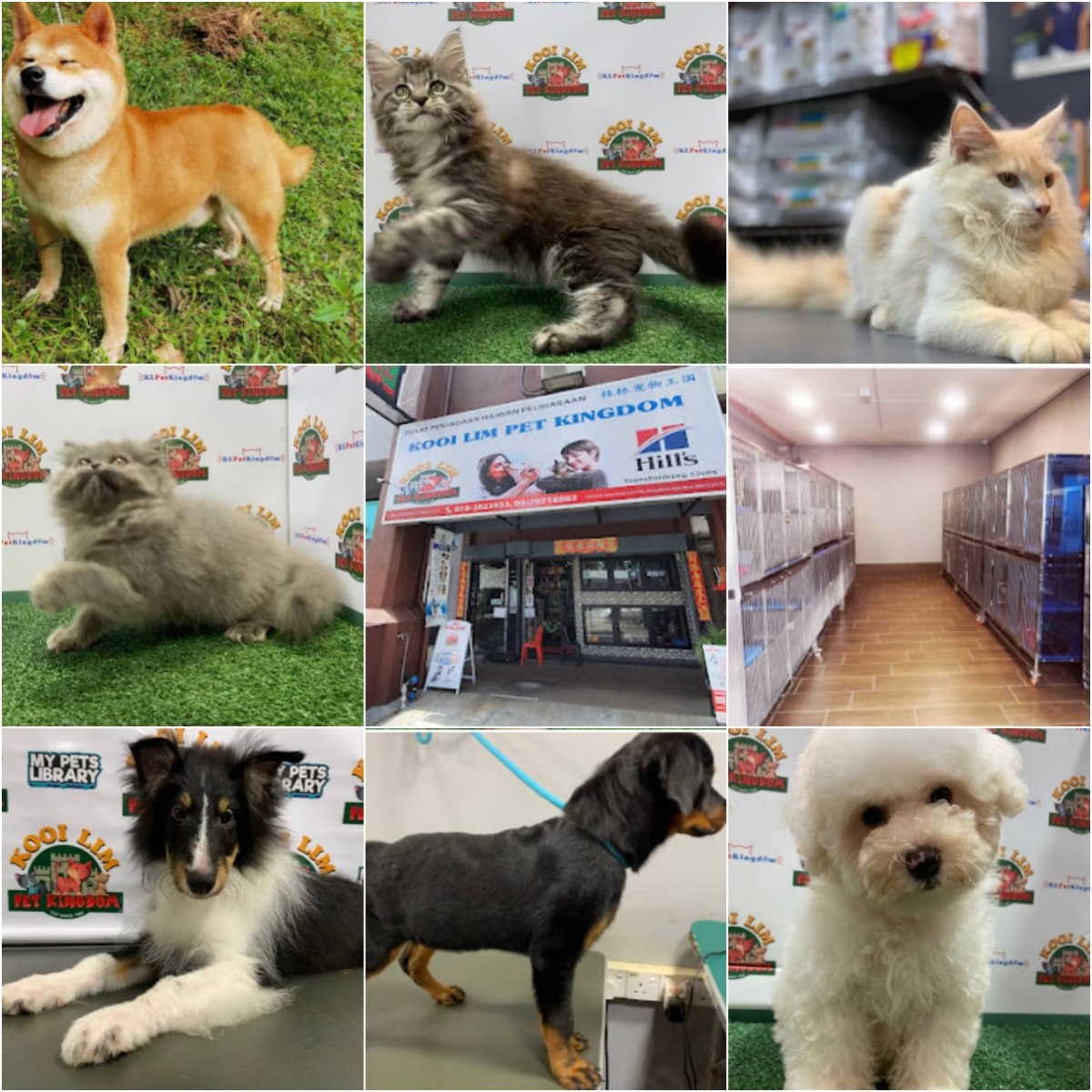 🦮吉隆坡Kooi Lim Pet Kingdom @ Mega Mendung🦮 · Menu images
