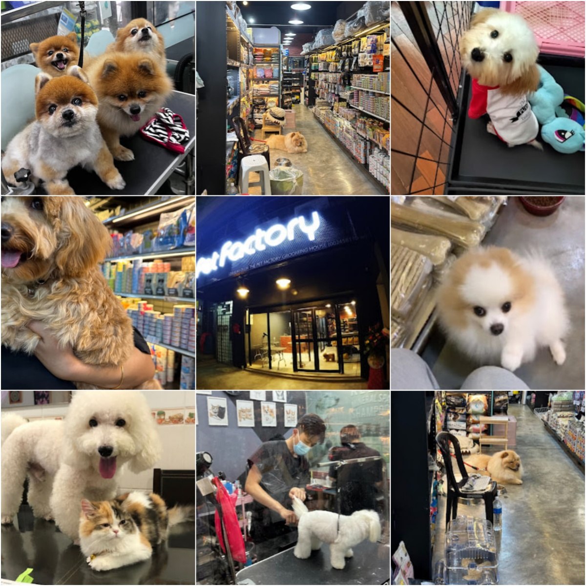 🐶吉隆坡The Pet Factory🐶 · Menu images