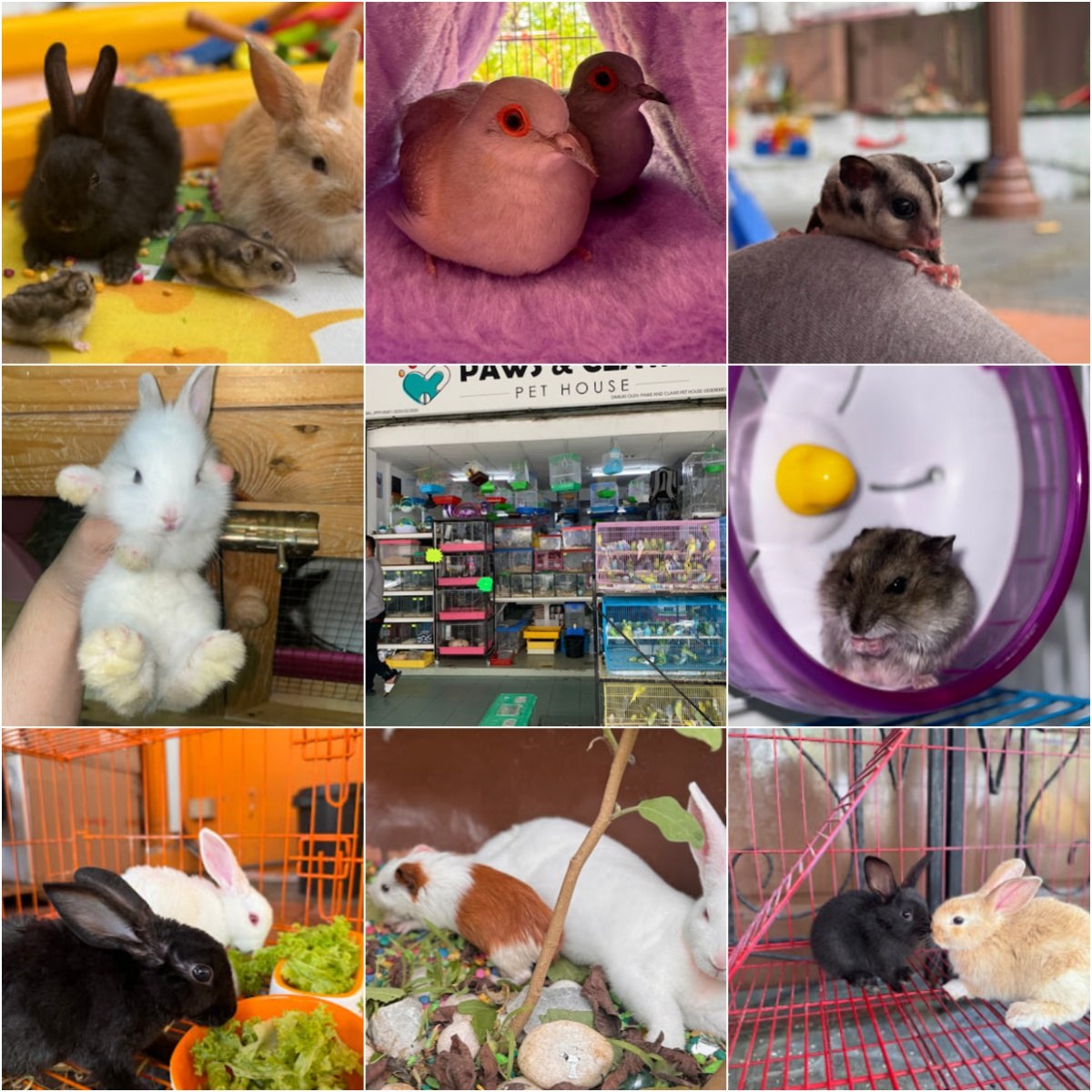 🐕paws & claws pet house🐕 · Menu images