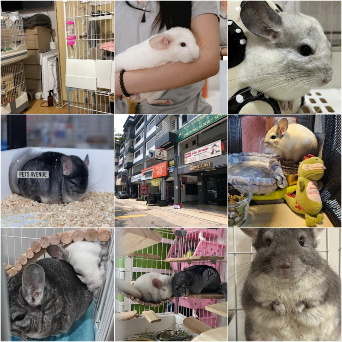 🐈吉隆坡Pets Avenue🐈 · Menu images