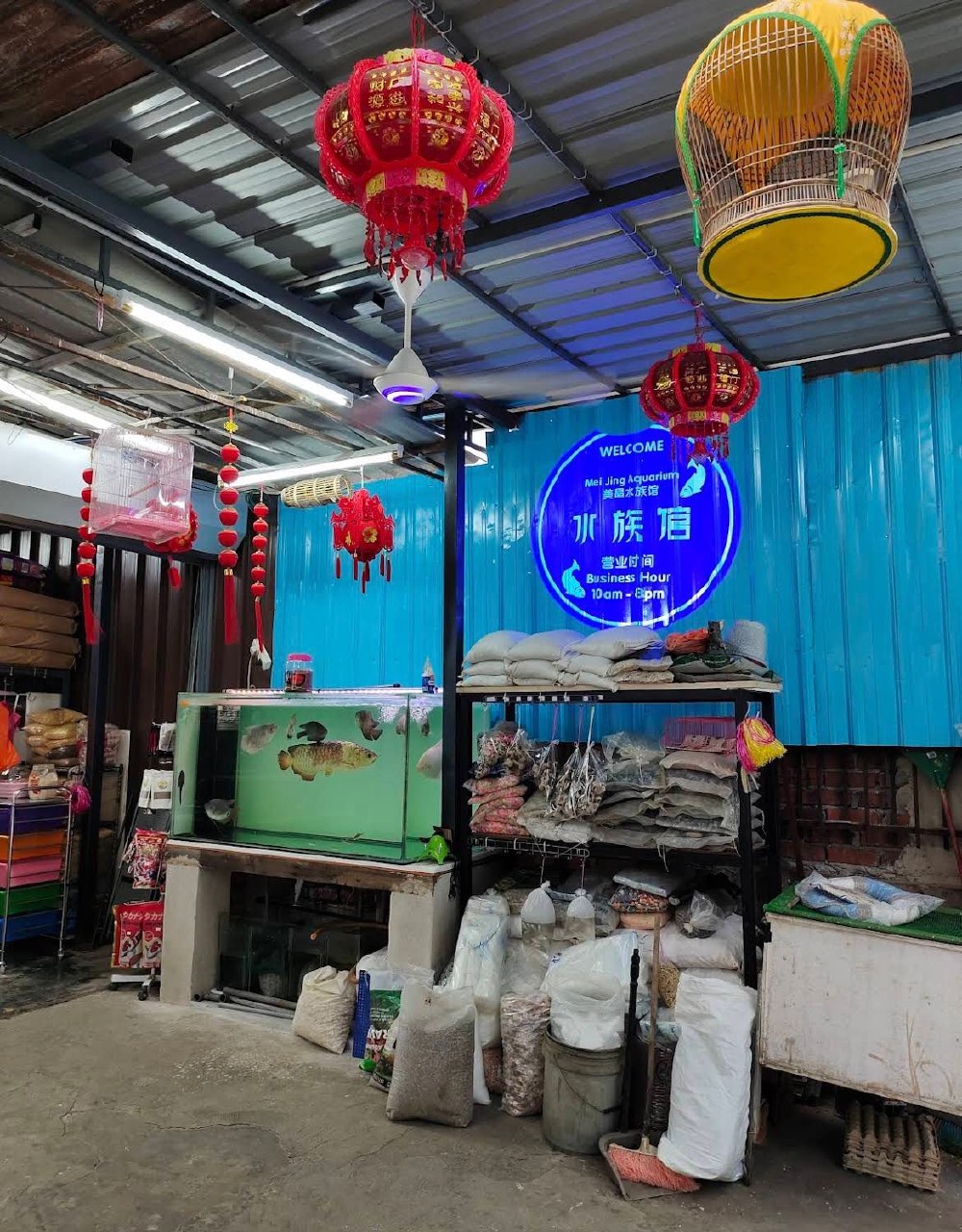 🐬吉隆坡美晶水族馆🐬