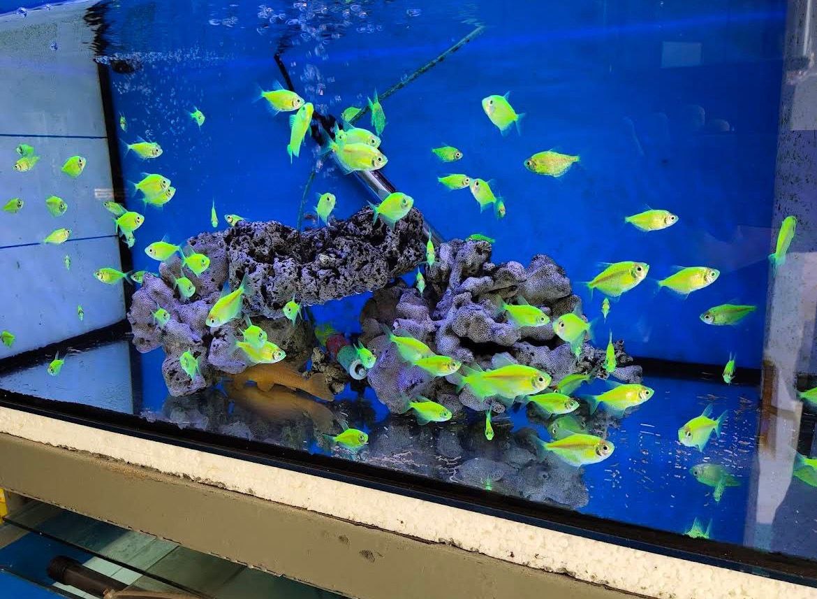 🦈吉隆坡帝国水族馆🦈 · Menu images
