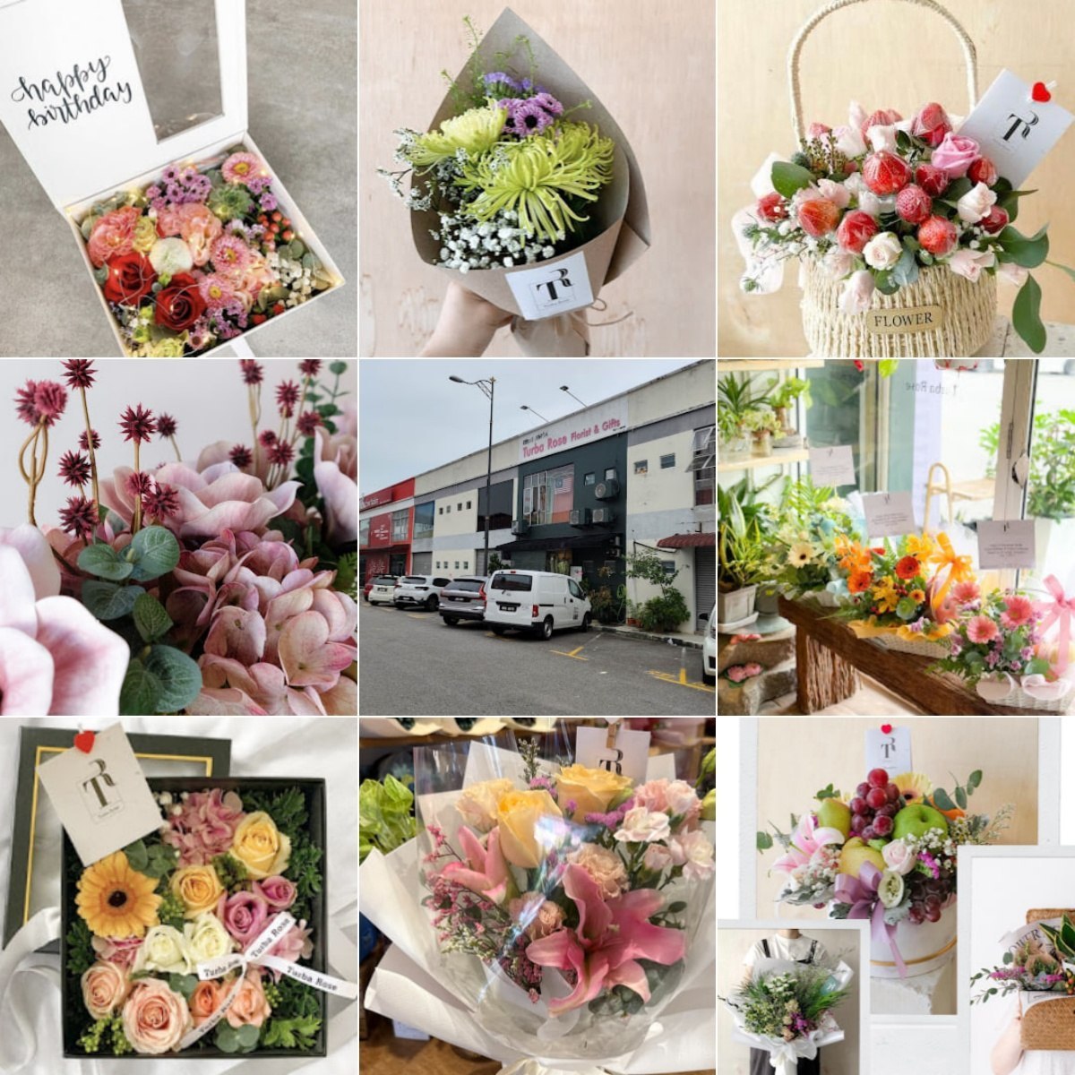 🎀马六甲Turba Rose Melaka🎀