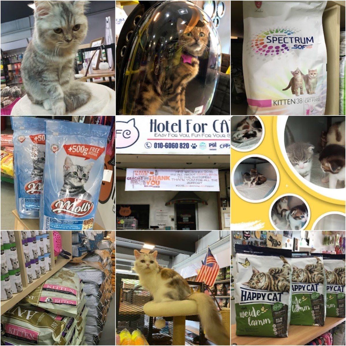 🐶马六甲Zoola Ayer Keroh & Hotel For Cats🐶 · Menu images