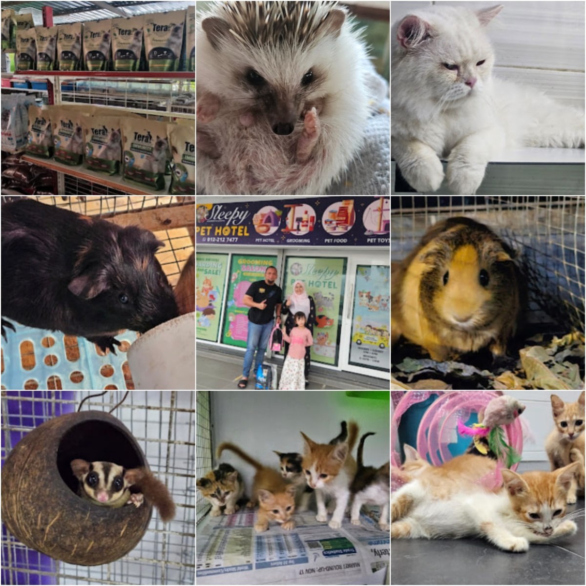 🦮马六甲Sleepy Pet Shop and Pet Hotel🦮