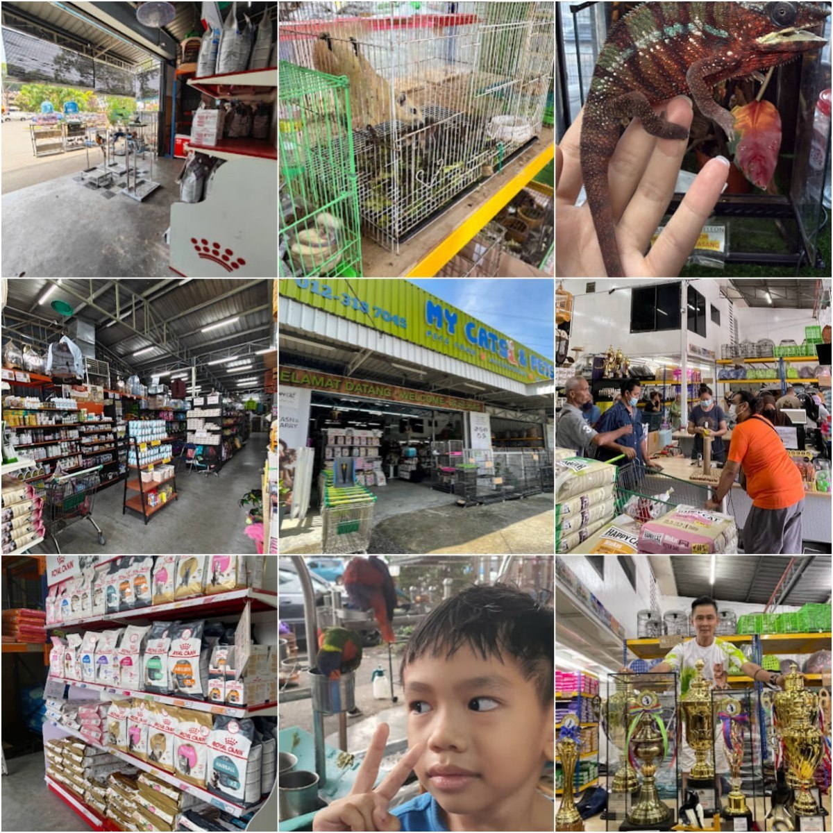 🐩马六甲MY CATS & PETS CENTRE🐩