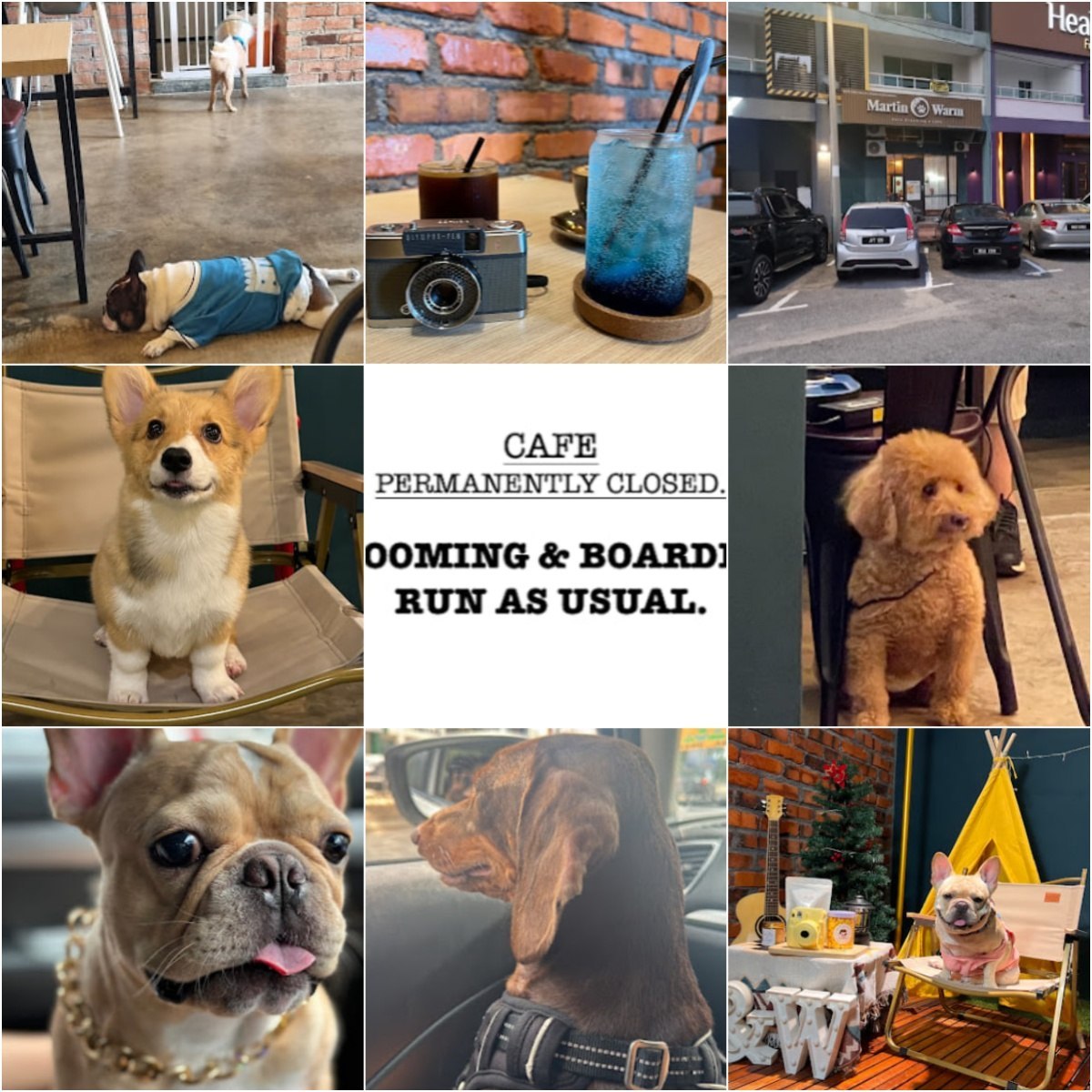 🦮马六甲Martin and Warm (Pets grooming)🦮 · Menu images