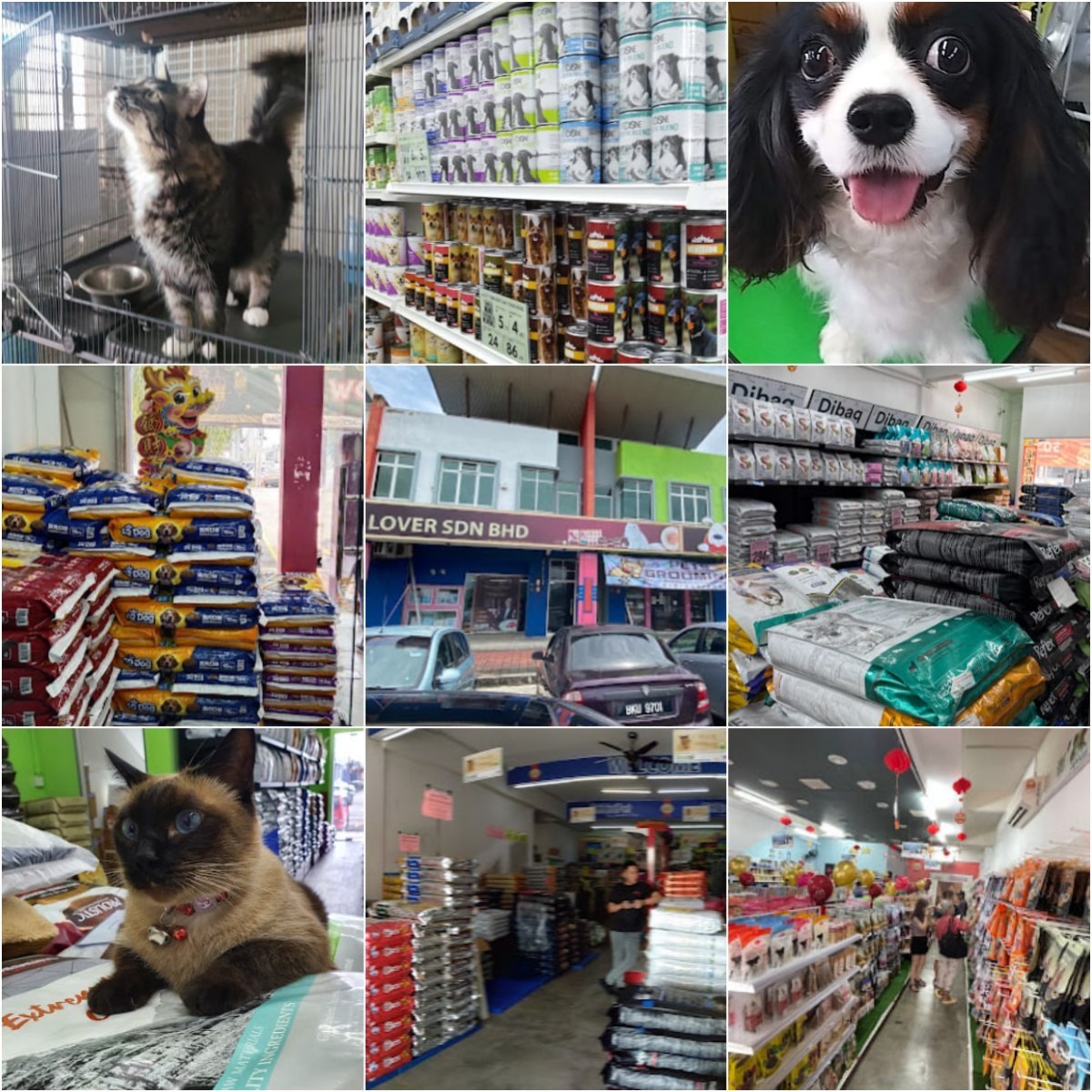 🐈马六甲Paragon Pets Lover Malacca🐈 · Menu images