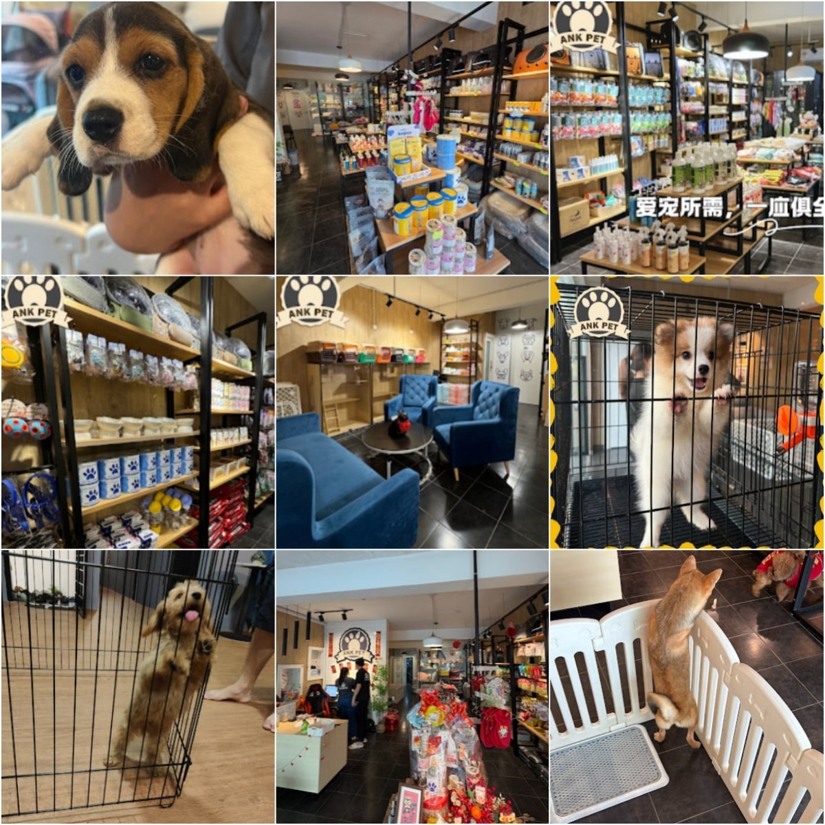 🐕马六甲ANK PETS SHOP (MELAKA BRANCH)🐕