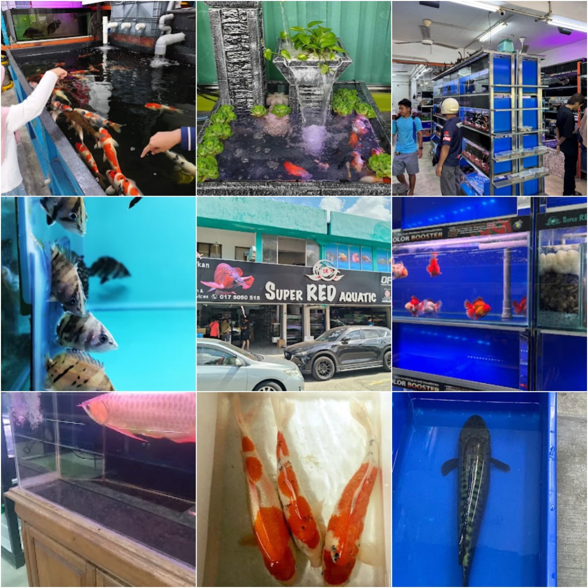 🐬马六甲Super Red Aquatic🐬 · Menu images