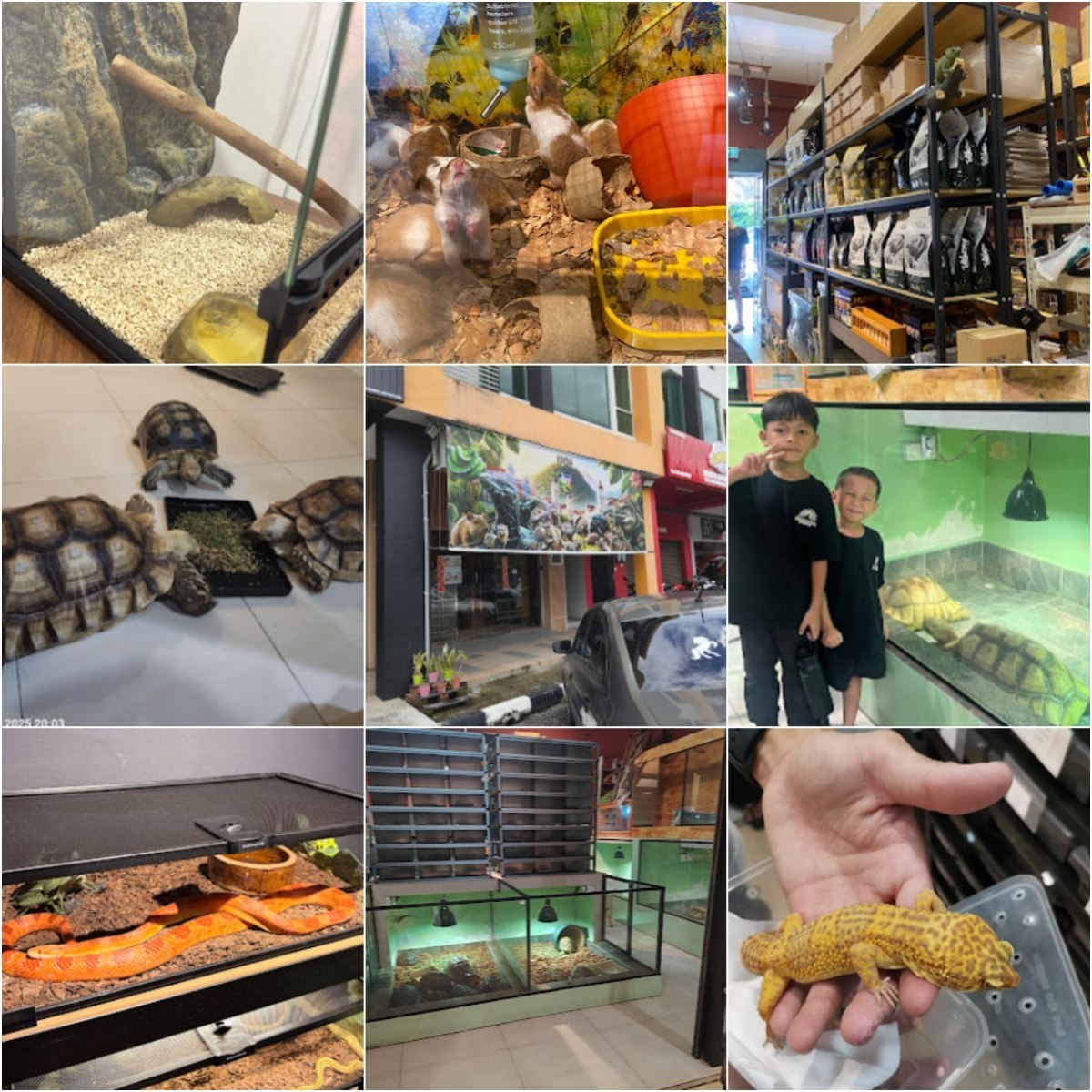 🐾怡保QT Pet Shop (Reptiles & Accessories)🐾 · Menu images