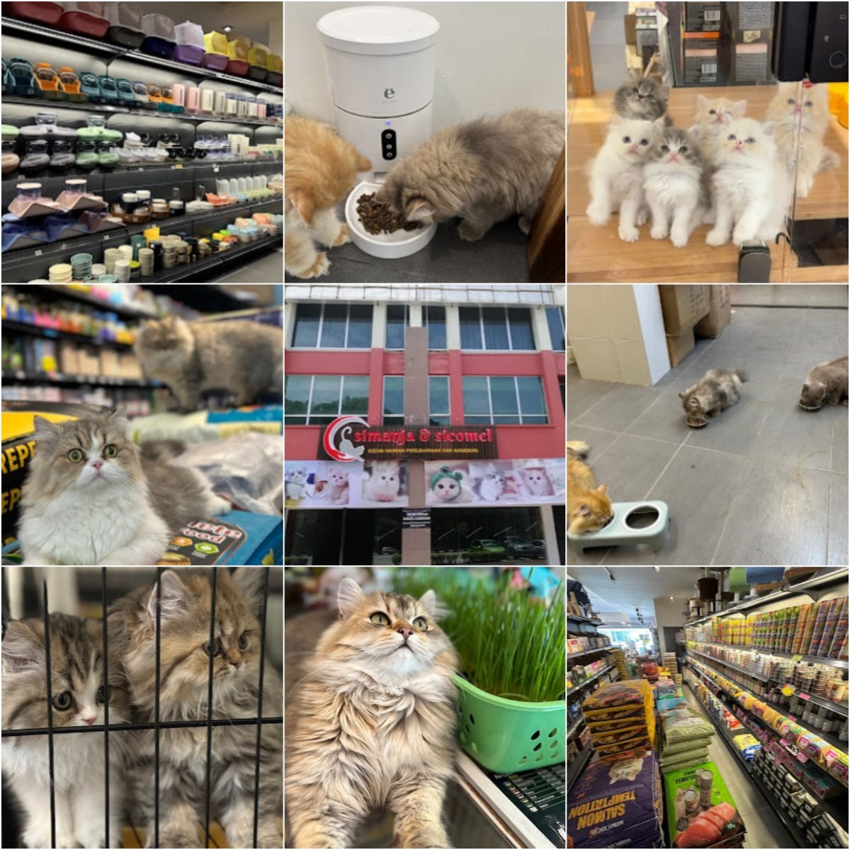 🐕怡保SiManja & SiComel Pets Shop🐕 · Menu images