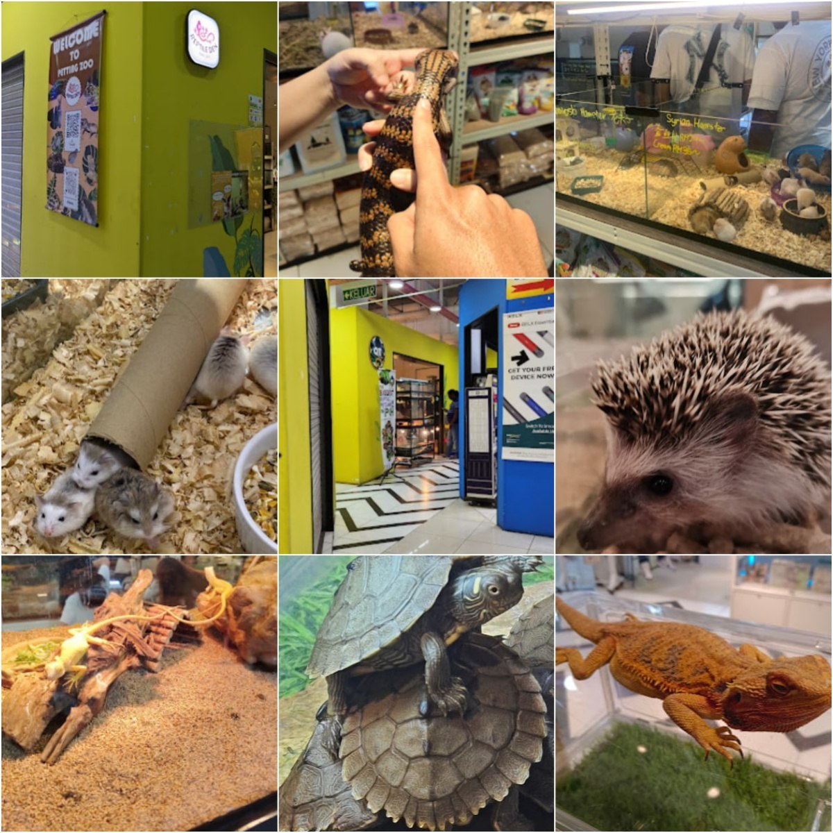 🐈怡保Reptile Den @ Ipoh Parade🐈 · Menu images