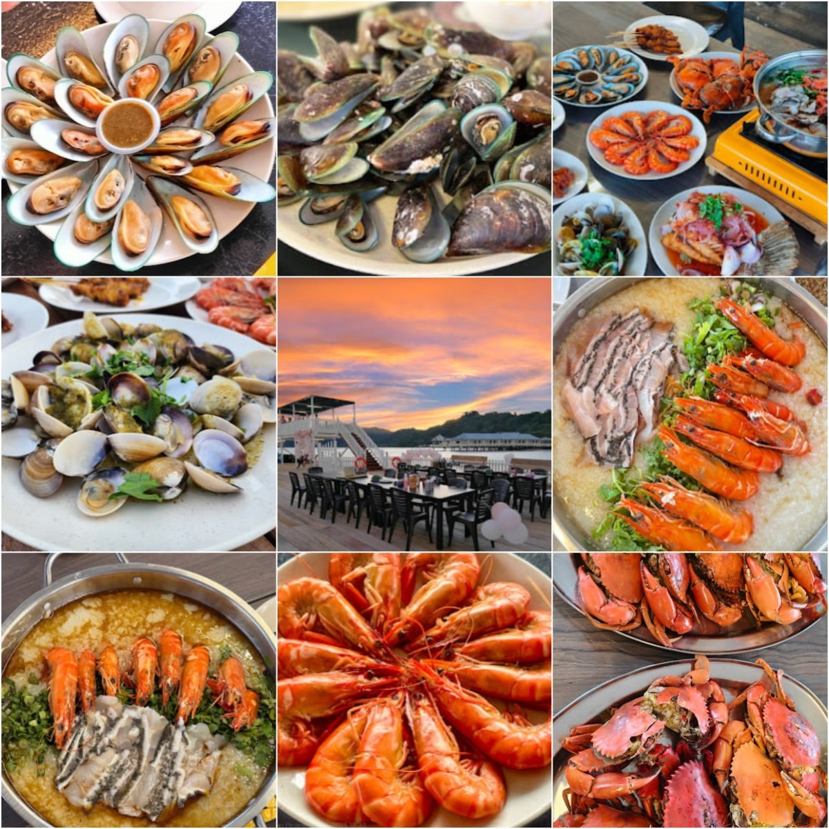 🐠槟城HLY Ocean Aquaculture🐠