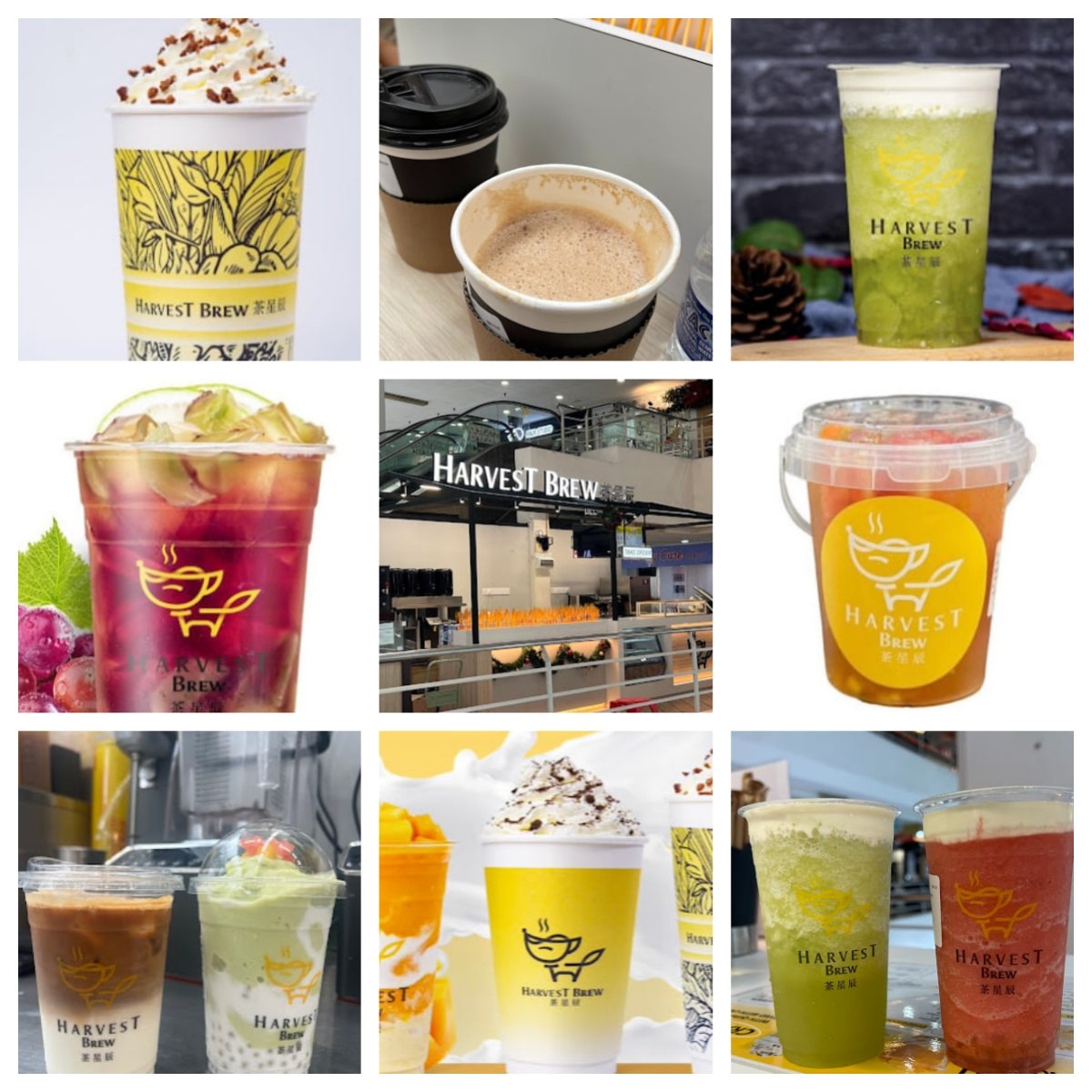 🥤新山茶星辰🥤