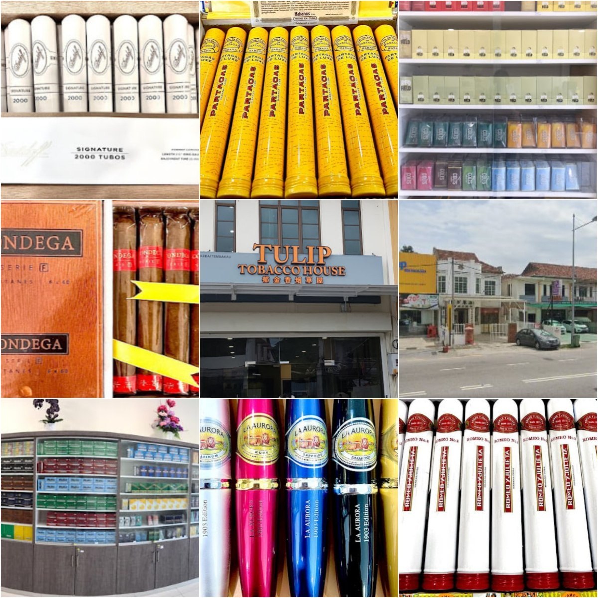 🚬槟城Tulip Tobacco House🚬