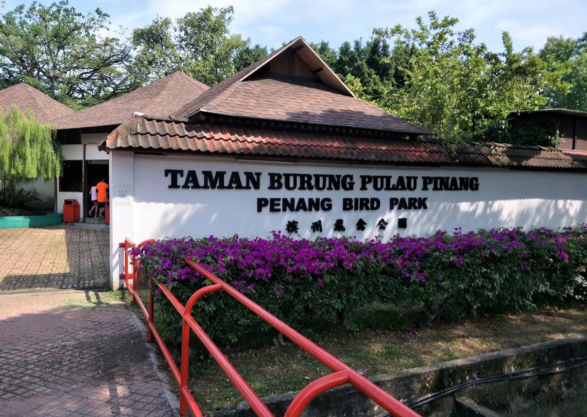 🐦 槟城 · 槟城飞禽公园
