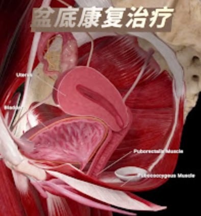 🧖新山新山 美容整形手术与医美门诊部🧖 · Menu images