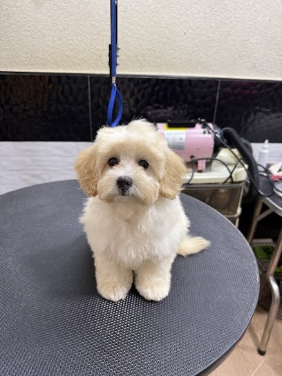 🐩新山时尚宠物屋🐩 · Menu images