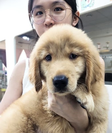 🐩新山时尚宠物屋🐩 · Menu images