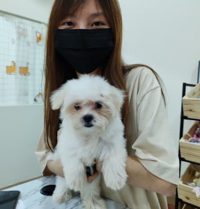 🐩新山时尚宠物屋🐩 · Menu images