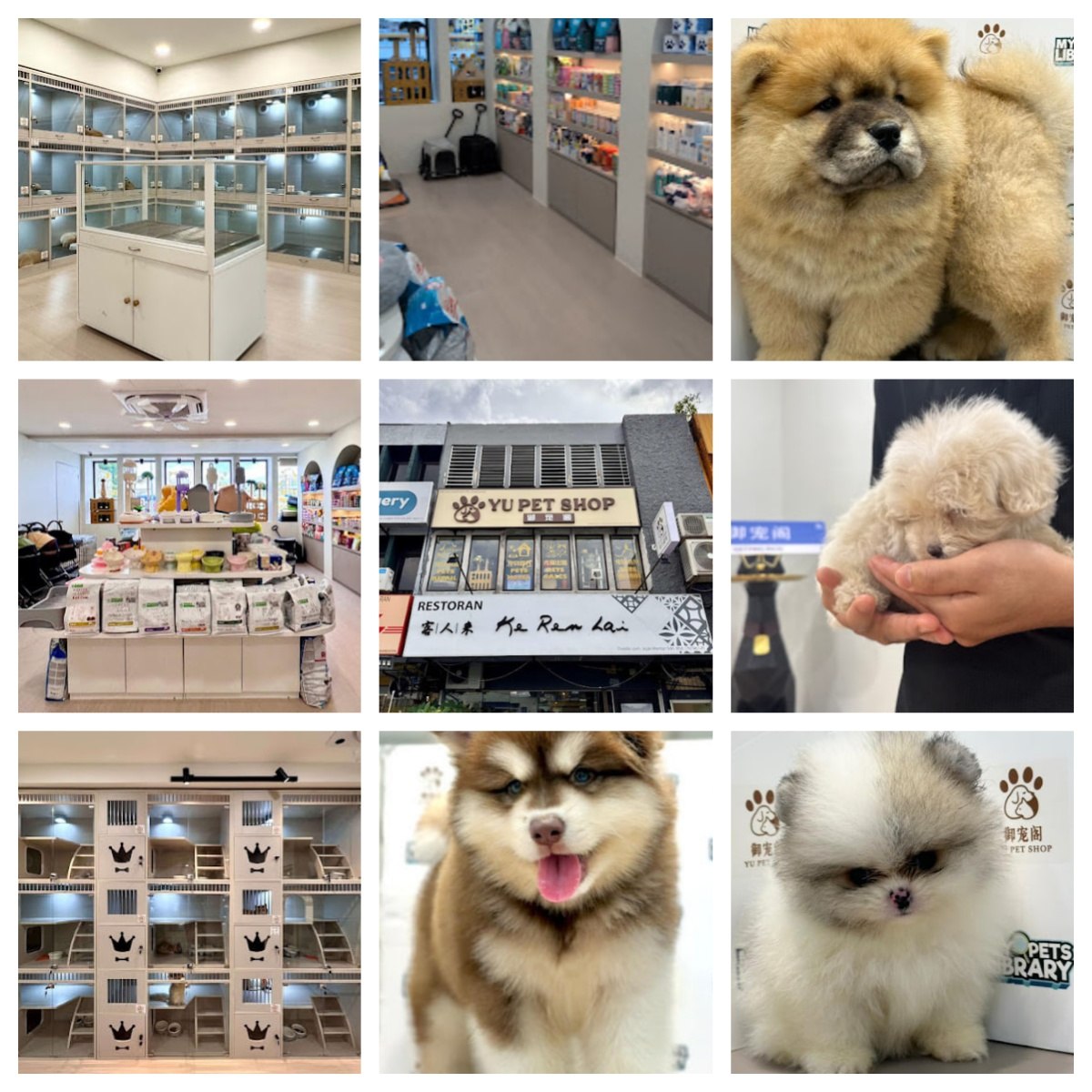 🐶新山御宠阁🐶