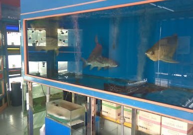 🐦新山鳴洋魚鳥寵物中心🐦 · Menu images